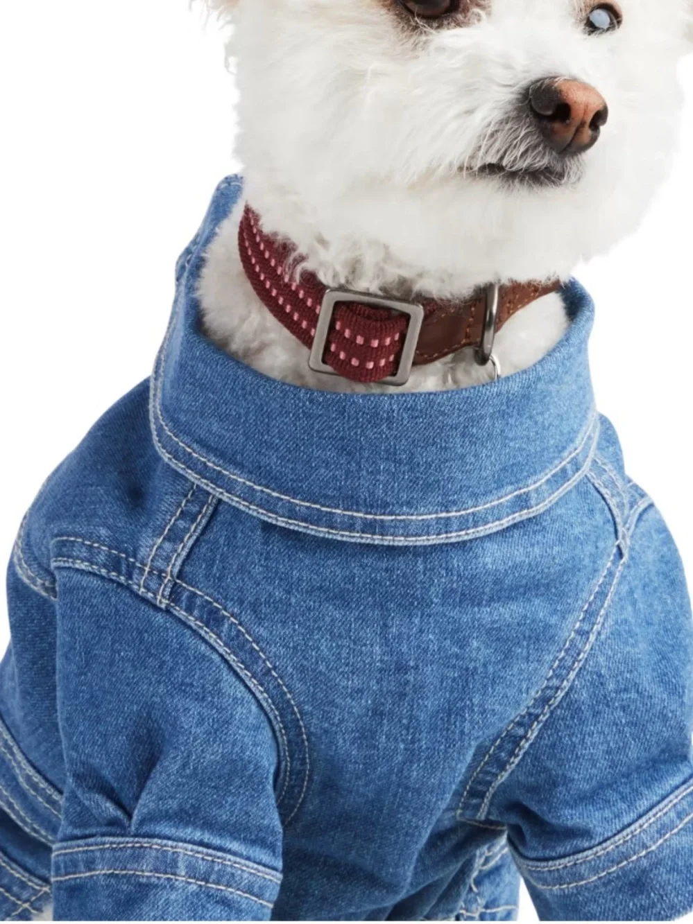 New Reddy denim dog dress M